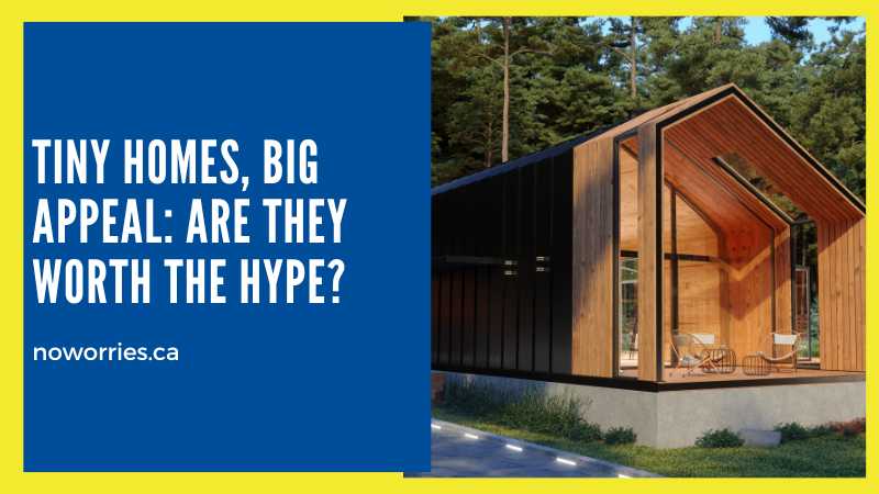 Tiny Homes, Big Appeal Are They Worth the Hype - NoWorries