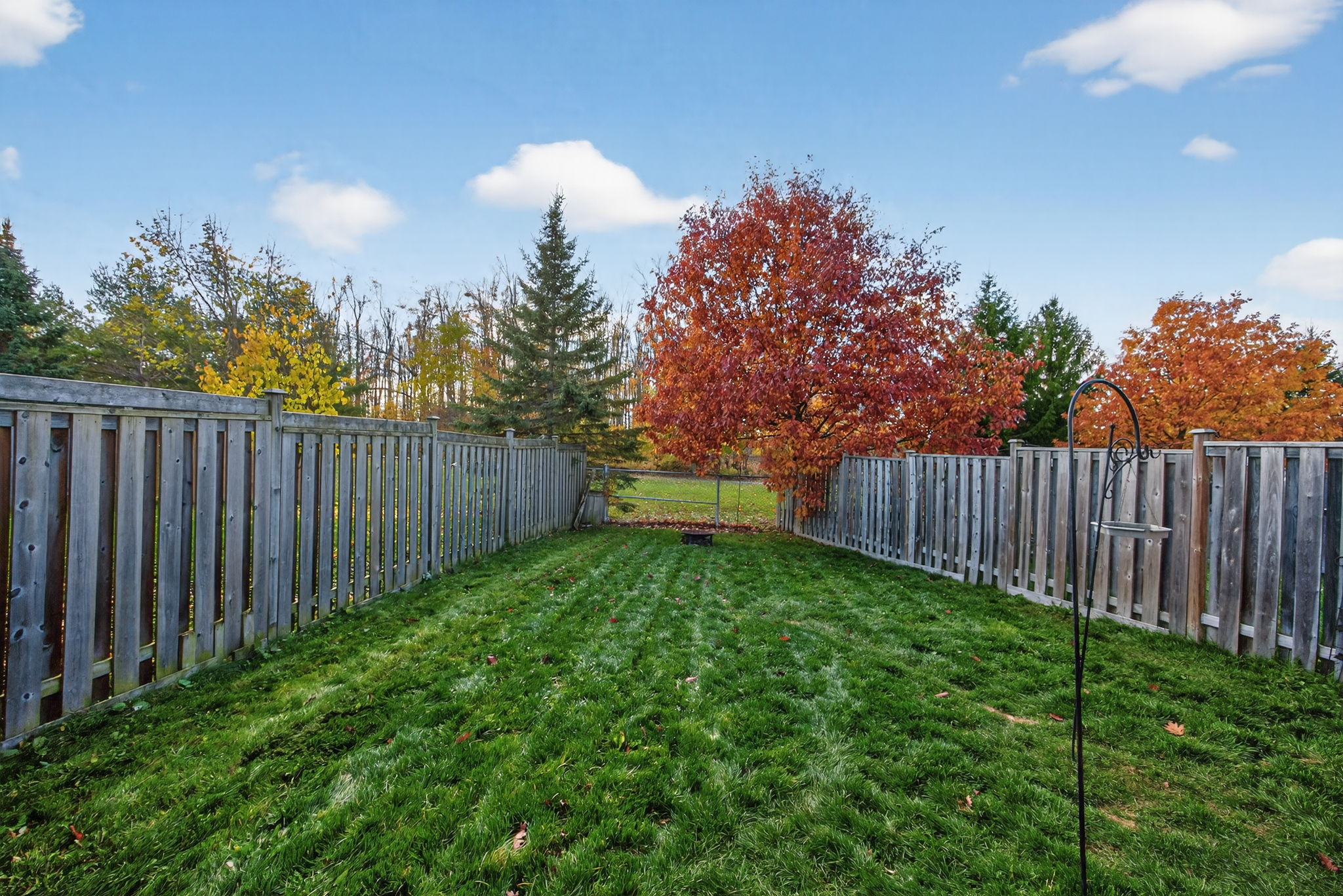 36 Goodwin Drive_EXT_108