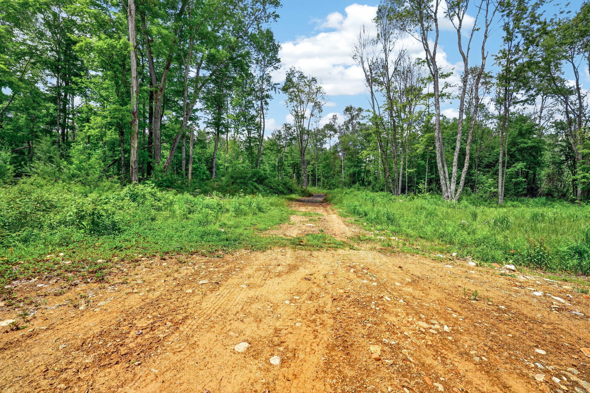 28 N Portage Road_141