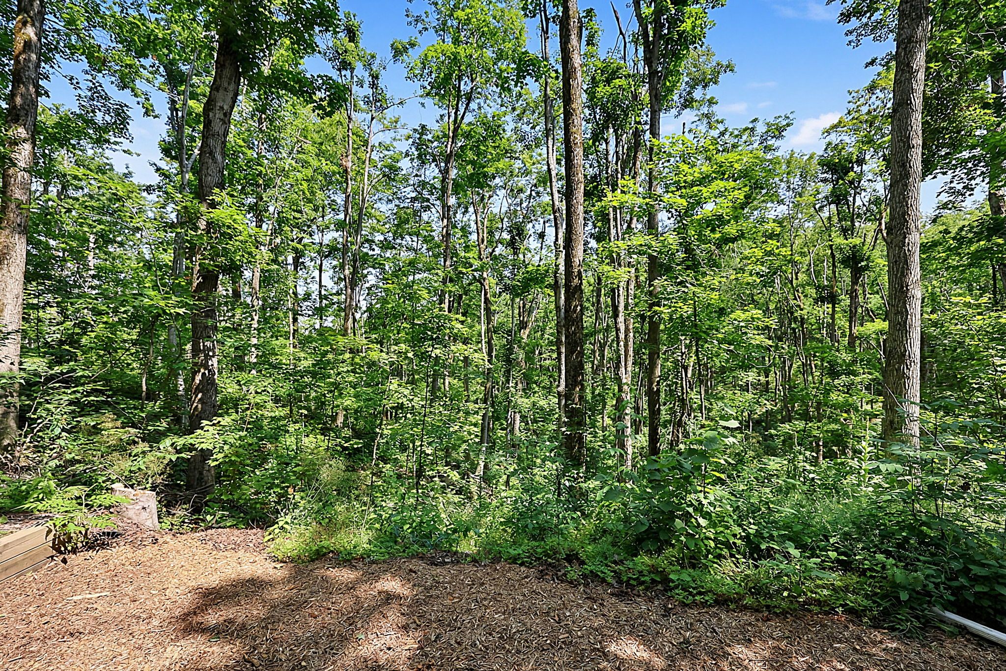 88 Huronwoods Drive_171