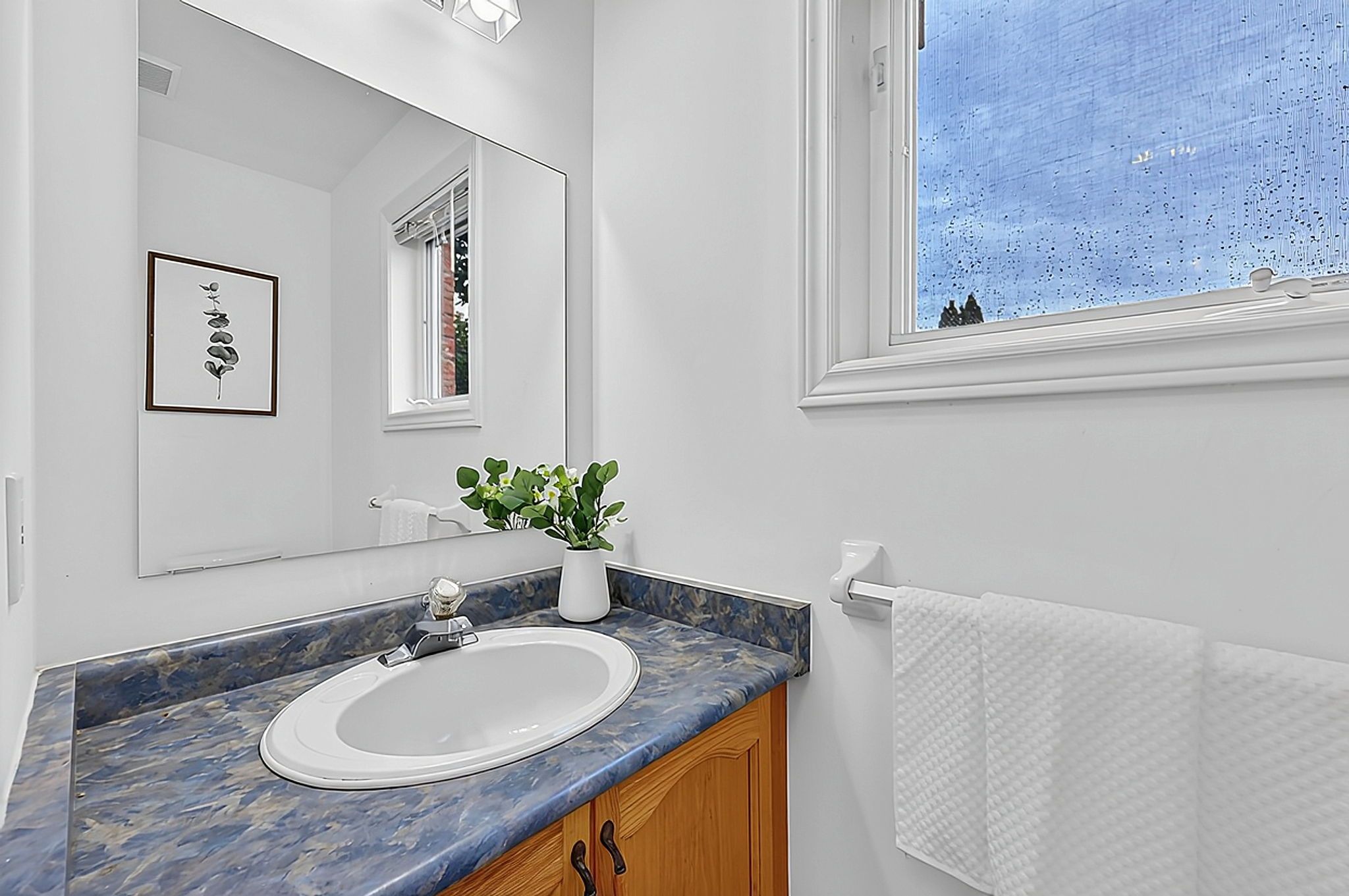 17 Prince Drive_133