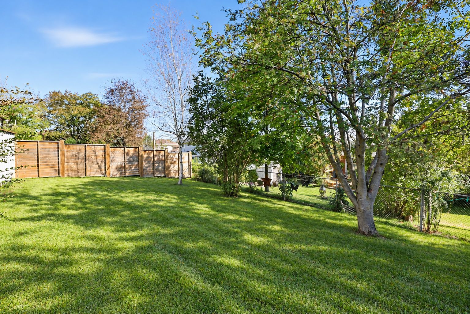Naturally Restored Backyard Lawn-3