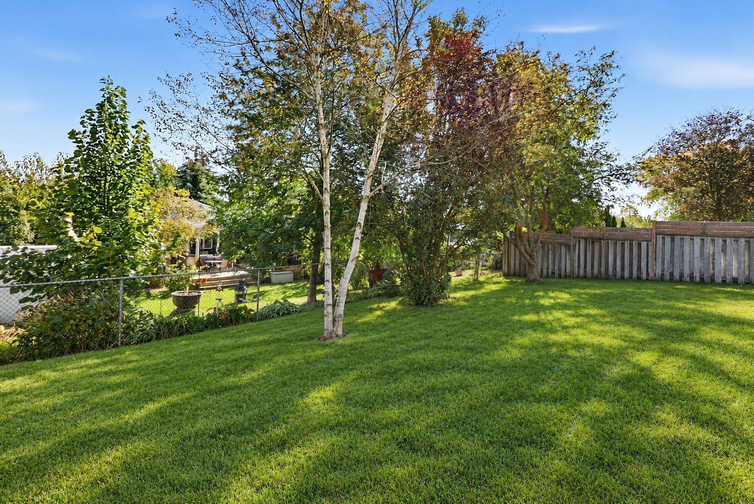 Naturally lush backyard lawn-5